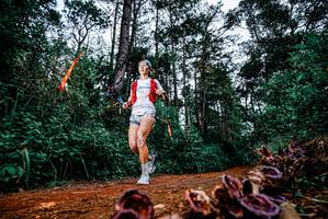 BIB: 
                            <button type="button" onclick="openModal(25879938)" class="btn btn-primary btn-sm float-right btn-popup" data-toggle="modal" data-target=".modal-high-quality">
                        <i class="fas fa-shopping-cart"></i> Add to Cart
                    </button>
                                            <button type="button" onclick="isThisMe(25879938, true)" class="btn btn-success btn-sm float-right btn-popup btn-isme hidden" data-toggle="tooltip" data-placement="bottom" title="นี่คือรูปของคุณใช่ไหม คลิกที่นี่เพื่อเอาเข้าอัลบั้ม">
                        <i class="fas fa-plus"></i> Add to album
                    </button>
                    <button type="button" onclick="isThisMe(25879938, false)" class="btn btn-warning btn-sm float-right btn-popup btn-isnotme hidden">
                        <i class="fas fa-ban"></i> Remove from album
                    </button>