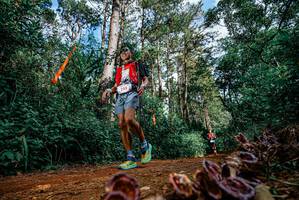 BIB: 
                            <button type="button" onclick="openModal(25880339)" class="btn btn-primary btn-sm float-right btn-popup" data-toggle="modal" data-target=".modal-high-quality">
                        <i class="fas fa-shopping-cart"></i> Add to Cart
                    </button>
                                            <button type="button" onclick="isThisMe(25880339, true)" class="btn btn-success btn-sm float-right btn-popup btn-isme hidden" data-toggle="tooltip" data-placement="bottom" title="นี่คือรูปของคุณใช่ไหม คลิกที่นี่เพื่อเอาเข้าอัลบั้ม">
                        <i class="fas fa-plus"></i> Add to album
                    </button>
                    <button type="button" onclick="isThisMe(25880339, false)" class="btn btn-warning btn-sm float-right btn-popup btn-isnotme hidden">
                        <i class="fas fa-ban"></i> Remove from album
                    </button>