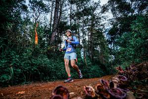 BIB: 
                            <button type="button" onclick="openModal(25880960)" class="btn btn-primary btn-sm float-right btn-popup" data-toggle="modal" data-target=".modal-high-quality">
                        <i class="fas fa-shopping-cart"></i> Add to Cart
                    </button>
                                            <button type="button" onclick="isThisMe(25880960, true)" class="btn btn-success btn-sm float-right btn-popup btn-isme hidden" data-toggle="tooltip" data-placement="bottom" title="นี่คือรูปของคุณใช่ไหม คลิกที่นี่เพื่อเอาเข้าอัลบั้ม">
                        <i class="fas fa-plus"></i> Add to album
                    </button>
                    <button type="button" onclick="isThisMe(25880960, false)" class="btn btn-warning btn-sm float-right btn-popup btn-isnotme hidden">
                        <i class="fas fa-ban"></i> Remove from album
                    </button>