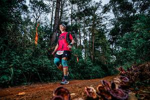 BIB: 
                            <button type="button" onclick="openModal(25881767)" class="btn btn-primary btn-sm float-right btn-popup" data-toggle="modal" data-target=".modal-high-quality">
                        <i class="fas fa-shopping-cart"></i> Add to Cart
                    </button>
                                            <button type="button" onclick="isThisMe(25881767, true)" class="btn btn-success btn-sm float-right btn-popup btn-isme hidden" data-toggle="tooltip" data-placement="bottom" title="นี่คือรูปของคุณใช่ไหม คลิกที่นี่เพื่อเอาเข้าอัลบั้ม">
                        <i class="fas fa-plus"></i> Add to album
                    </button>
                    <button type="button" onclick="isThisMe(25881767, false)" class="btn btn-warning btn-sm float-right btn-popup btn-isnotme hidden">
                        <i class="fas fa-ban"></i> Remove from album
                    </button>