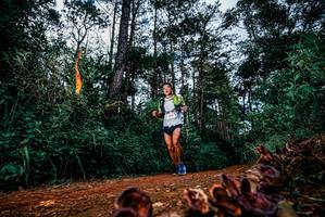 BIB: 
                            <button type="button" onclick="openModal(25881285)" class="btn btn-primary btn-sm float-right btn-popup" data-toggle="modal" data-target=".modal-high-quality">
                        <i class="fas fa-shopping-cart"></i> Add to Cart
                    </button>
                                            <button type="button" onclick="isThisMe(25881285, true)" class="btn btn-success btn-sm float-right btn-popup btn-isme hidden" data-toggle="tooltip" data-placement="bottom" title="นี่คือรูปของคุณใช่ไหม คลิกที่นี่เพื่อเอาเข้าอัลบั้ม">
                        <i class="fas fa-plus"></i> Add to album
                    </button>
                    <button type="button" onclick="isThisMe(25881285, false)" class="btn btn-warning btn-sm float-right btn-popup btn-isnotme hidden">
                        <i class="fas fa-ban"></i> Remove from album
                    </button>