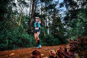 BIB: 
                            <button type="button" onclick="openModal(25882519)" class="btn btn-primary btn-sm float-right btn-popup" data-toggle="modal" data-target=".modal-high-quality">
                        <i class="fas fa-shopping-cart"></i> Add to Cart
                    </button>
                                            <button type="button" onclick="isThisMe(25882519, true)" class="btn btn-success btn-sm float-right btn-popup btn-isme hidden" data-toggle="tooltip" data-placement="bottom" title="นี่คือรูปของคุณใช่ไหม คลิกที่นี่เพื่อเอาเข้าอัลบั้ม">
                        <i class="fas fa-plus"></i> Add to album
                    </button>
                    <button type="button" onclick="isThisMe(25882519, false)" class="btn btn-warning btn-sm float-right btn-popup btn-isnotme hidden">
                        <i class="fas fa-ban"></i> Remove from album
                    </button>