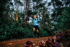 BIB: 
                            <button type="button" onclick="openModal(25881359)" class="btn btn-primary btn-sm float-right btn-popup" data-toggle="modal" data-target=".modal-high-quality">
                        <i class="fas fa-shopping-cart"></i> Add to Cart
                    </button>
                                            <button type="button" onclick="isThisMe(25881359, true)" class="btn btn-success btn-sm float-right btn-popup btn-isme hidden" data-toggle="tooltip" data-placement="bottom" title="นี่คือรูปของคุณใช่ไหม คลิกที่นี่เพื่อเอาเข้าอัลบั้ม">
                        <i class="fas fa-plus"></i> Add to album
                    </button>
                    <button type="button" onclick="isThisMe(25881359, false)" class="btn btn-warning btn-sm float-right btn-popup btn-isnotme hidden">
                        <i class="fas fa-ban"></i> Remove from album
                    </button>