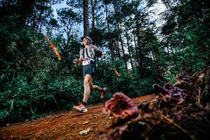 BIB: 
                            <button type="button" onclick="openModal(25878012)" class="btn btn-primary btn-sm float-right btn-popup" data-toggle="modal" data-target=".modal-high-quality">
                        <i class="fas fa-shopping-cart"></i> Add to Cart
                    </button>
                                            <button type="button" onclick="isThisMe(25878012, true)" class="btn btn-success btn-sm float-right btn-popup btn-isme hidden" data-toggle="tooltip" data-placement="bottom" title="นี่คือรูปของคุณใช่ไหม คลิกที่นี่เพื่อเอาเข้าอัลบั้ม">
                        <i class="fas fa-plus"></i> Add to album
                    </button>
                    <button type="button" onclick="isThisMe(25878012, false)" class="btn btn-warning btn-sm float-right btn-popup btn-isnotme hidden">
                        <i class="fas fa-ban"></i> Remove from album
                    </button>