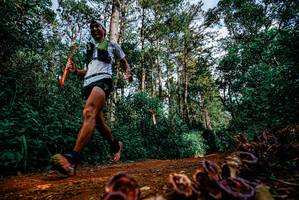 BIB: 
                            <button type="button" onclick="openModal(25880524)" class="btn btn-primary btn-sm float-right btn-popup" data-toggle="modal" data-target=".modal-high-quality">
                        <i class="fas fa-shopping-cart"></i> Add to Cart
                    </button>
                                            <button type="button" onclick="isThisMe(25880524, true)" class="btn btn-success btn-sm float-right btn-popup btn-isme hidden" data-toggle="tooltip" data-placement="bottom" title="นี่คือรูปของคุณใช่ไหม คลิกที่นี่เพื่อเอาเข้าอัลบั้ม">
                        <i class="fas fa-plus"></i> Add to album
                    </button>
                    <button type="button" onclick="isThisMe(25880524, false)" class="btn btn-warning btn-sm float-right btn-popup btn-isnotme hidden">
                        <i class="fas fa-ban"></i> Remove from album
                    </button>