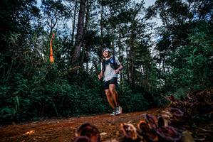 BIB: 
                            <button type="button" onclick="openModal(25882335)" class="btn btn-primary btn-sm float-right btn-popup" data-toggle="modal" data-target=".modal-high-quality">
                        <i class="fas fa-shopping-cart"></i> Add to Cart
                    </button>
                                            <button type="button" onclick="isThisMe(25882335, true)" class="btn btn-success btn-sm float-right btn-popup btn-isme hidden" data-toggle="tooltip" data-placement="bottom" title="นี่คือรูปของคุณใช่ไหม คลิกที่นี่เพื่อเอาเข้าอัลบั้ม">
                        <i class="fas fa-plus"></i> Add to album
                    </button>
                    <button type="button" onclick="isThisMe(25882335, false)" class="btn btn-warning btn-sm float-right btn-popup btn-isnotme hidden">
                        <i class="fas fa-ban"></i> Remove from album
                    </button>