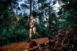 BIB: 
                            <button type="button" onclick="openModal(25877979)" class="btn btn-primary btn-sm float-right btn-popup" data-toggle="modal" data-target=".modal-high-quality">
                        <i class="fas fa-shopping-cart"></i> Add to Cart
                    </button>
                                            <button type="button" onclick="isThisMe(25877979, true)" class="btn btn-success btn-sm float-right btn-popup btn-isme hidden" data-toggle="tooltip" data-placement="bottom" title="นี่คือรูปของคุณใช่ไหม คลิกที่นี่เพื่อเอาเข้าอัลบั้ม">
                        <i class="fas fa-plus"></i> Add to album
                    </button>
                    <button type="button" onclick="isThisMe(25877979, false)" class="btn btn-warning btn-sm float-right btn-popup btn-isnotme hidden">
                        <i class="fas fa-ban"></i> Remove from album
                    </button>