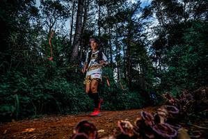 BIB: 
                            <button type="button" onclick="openModal(25880637)" class="btn btn-primary btn-sm float-right btn-popup" data-toggle="modal" data-target=".modal-high-quality">
                        <i class="fas fa-shopping-cart"></i> Add to Cart
                    </button>
                                            <button type="button" onclick="isThisMe(25880637, true)" class="btn btn-success btn-sm float-right btn-popup btn-isme hidden" data-toggle="tooltip" data-placement="bottom" title="นี่คือรูปของคุณใช่ไหม คลิกที่นี่เพื่อเอาเข้าอัลบั้ม">
                        <i class="fas fa-plus"></i> Add to album
                    </button>
                    <button type="button" onclick="isThisMe(25880637, false)" class="btn btn-warning btn-sm float-right btn-popup btn-isnotme hidden">
                        <i class="fas fa-ban"></i> Remove from album
                    </button>