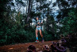 BIB: 
                            <button type="button" onclick="openModal(25879500)" class="btn btn-primary btn-sm float-right btn-popup" data-toggle="modal" data-target=".modal-high-quality">
                        <i class="fas fa-shopping-cart"></i> Add to Cart
                    </button>
                                            <button type="button" onclick="isThisMe(25879500, true)" class="btn btn-success btn-sm float-right btn-popup btn-isme hidden" data-toggle="tooltip" data-placement="bottom" title="นี่คือรูปของคุณใช่ไหม คลิกที่นี่เพื่อเอาเข้าอัลบั้ม">
                        <i class="fas fa-plus"></i> Add to album
                    </button>
                    <button type="button" onclick="isThisMe(25879500, false)" class="btn btn-warning btn-sm float-right btn-popup btn-isnotme hidden">
                        <i class="fas fa-ban"></i> Remove from album
                    </button>