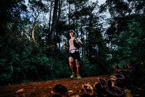 BIB: 
                            <button type="button" onclick="openModal(25882150)" class="btn btn-primary btn-sm float-right btn-popup" data-toggle="modal" data-target=".modal-high-quality">
                        <i class="fas fa-shopping-cart"></i> Add to Cart
                    </button>
                                            <button type="button" onclick="isThisMe(25882150, true)" class="btn btn-success btn-sm float-right btn-popup btn-isme hidden" data-toggle="tooltip" data-placement="bottom" title="นี่คือรูปของคุณใช่ไหม คลิกที่นี่เพื่อเอาเข้าอัลบั้ม">
                        <i class="fas fa-plus"></i> Add to album
                    </button>
                    <button type="button" onclick="isThisMe(25882150, false)" class="btn btn-warning btn-sm float-right btn-popup btn-isnotme hidden">
                        <i class="fas fa-ban"></i> Remove from album
                    </button>