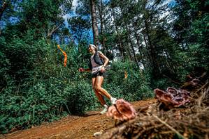 BIB: 
                            <button type="button" onclick="openModal(25878054)" class="btn btn-primary btn-sm float-right btn-popup" data-toggle="modal" data-target=".modal-high-quality">
                        <i class="fas fa-shopping-cart"></i> Add to Cart
                    </button>
                                            <button type="button" onclick="isThisMe(25878054, true)" class="btn btn-success btn-sm float-right btn-popup btn-isme hidden" data-toggle="tooltip" data-placement="bottom" title="นี่คือรูปของคุณใช่ไหม คลิกที่นี่เพื่อเอาเข้าอัลบั้ม">
                        <i class="fas fa-plus"></i> Add to album
                    </button>
                    <button type="button" onclick="isThisMe(25878054, false)" class="btn btn-warning btn-sm float-right btn-popup btn-isnotme hidden">
                        <i class="fas fa-ban"></i> Remove from album
                    </button>