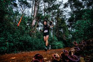 BIB: 
                            <button type="button" onclick="openModal(25879796)" class="btn btn-primary btn-sm float-right btn-popup" data-toggle="modal" data-target=".modal-high-quality">
                        <i class="fas fa-shopping-cart"></i> Add to Cart
                    </button>
                                            <button type="button" onclick="isThisMe(25879796, true)" class="btn btn-success btn-sm float-right btn-popup btn-isme hidden" data-toggle="tooltip" data-placement="bottom" title="นี่คือรูปของคุณใช่ไหม คลิกที่นี่เพื่อเอาเข้าอัลบั้ม">
                        <i class="fas fa-plus"></i> Add to album
                    </button>
                    <button type="button" onclick="isThisMe(25879796, false)" class="btn btn-warning btn-sm float-right btn-popup btn-isnotme hidden">
                        <i class="fas fa-ban"></i> Remove from album
                    </button>