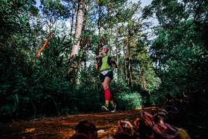 BIB: 
                            <button type="button" onclick="openModal(25880132)" class="btn btn-primary btn-sm float-right btn-popup" data-toggle="modal" data-target=".modal-high-quality">
                        <i class="fas fa-shopping-cart"></i> Add to Cart
                    </button>
                                            <button type="button" onclick="isThisMe(25880132, true)" class="btn btn-success btn-sm float-right btn-popup btn-isme hidden" data-toggle="tooltip" data-placement="bottom" title="นี่คือรูปของคุณใช่ไหม คลิกที่นี่เพื่อเอาเข้าอัลบั้ม">
                        <i class="fas fa-plus"></i> Add to album
                    </button>
                    <button type="button" onclick="isThisMe(25880132, false)" class="btn btn-warning btn-sm float-right btn-popup btn-isnotme hidden">
                        <i class="fas fa-ban"></i> Remove from album
                    </button>