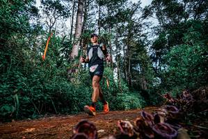 BIB: 
                            <button type="button" onclick="openModal(25879647)" class="btn btn-primary btn-sm float-right btn-popup" data-toggle="modal" data-target=".modal-high-quality">
                        <i class="fas fa-shopping-cart"></i> Add to Cart
                    </button>
                                            <button type="button" onclick="isThisMe(25879647, true)" class="btn btn-success btn-sm float-right btn-popup btn-isme hidden" data-toggle="tooltip" data-placement="bottom" title="นี่คือรูปของคุณใช่ไหม คลิกที่นี่เพื่อเอาเข้าอัลบั้ม">
                        <i class="fas fa-plus"></i> Add to album
                    </button>
                    <button type="button" onclick="isThisMe(25879647, false)" class="btn btn-warning btn-sm float-right btn-popup btn-isnotme hidden">
                        <i class="fas fa-ban"></i> Remove from album
                    </button>