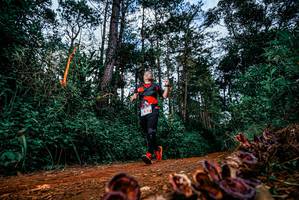 BIB: 
                            <button type="button" onclick="openModal(25881558)" class="btn btn-primary btn-sm float-right btn-popup" data-toggle="modal" data-target=".modal-high-quality">
                        <i class="fas fa-shopping-cart"></i> Add to Cart
                    </button>
                                            <button type="button" onclick="isThisMe(25881558, true)" class="btn btn-success btn-sm float-right btn-popup btn-isme hidden" data-toggle="tooltip" data-placement="bottom" title="นี่คือรูปของคุณใช่ไหม คลิกที่นี่เพื่อเอาเข้าอัลบั้ม">
                        <i class="fas fa-plus"></i> Add to album
                    </button>
                    <button type="button" onclick="isThisMe(25881558, false)" class="btn btn-warning btn-sm float-right btn-popup btn-isnotme hidden">
                        <i class="fas fa-ban"></i> Remove from album
                    </button>