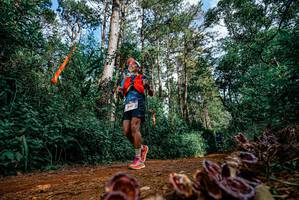 BIB: 
                            <button type="button" onclick="openModal(25880347)" class="btn btn-primary btn-sm float-right btn-popup" data-toggle="modal" data-target=".modal-high-quality">
                        <i class="fas fa-shopping-cart"></i> Add to Cart
                    </button>
                                            <button type="button" onclick="isThisMe(25880347, true)" class="btn btn-success btn-sm float-right btn-popup btn-isme hidden" data-toggle="tooltip" data-placement="bottom" title="นี่คือรูปของคุณใช่ไหม คลิกที่นี่เพื่อเอาเข้าอัลบั้ม">
                        <i class="fas fa-plus"></i> Add to album
                    </button>
                    <button type="button" onclick="isThisMe(25880347, false)" class="btn btn-warning btn-sm float-right btn-popup btn-isnotme hidden">
                        <i class="fas fa-ban"></i> Remove from album
                    </button>