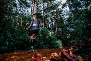 BIB: 
                            <button type="button" onclick="openModal(25880720)" class="btn btn-primary btn-sm float-right btn-popup" data-toggle="modal" data-target=".modal-high-quality">
                        <i class="fas fa-shopping-cart"></i> Add to Cart
                    </button>
                                            <button type="button" onclick="isThisMe(25880720, true)" class="btn btn-success btn-sm float-right btn-popup btn-isme hidden" data-toggle="tooltip" data-placement="bottom" title="นี่คือรูปของคุณใช่ไหม คลิกที่นี่เพื่อเอาเข้าอัลบั้ม">
                        <i class="fas fa-plus"></i> Add to album
                    </button>
                    <button type="button" onclick="isThisMe(25880720, false)" class="btn btn-warning btn-sm float-right btn-popup btn-isnotme hidden">
                        <i class="fas fa-ban"></i> Remove from album
                    </button>