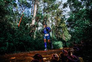 BIB: 
                            <button type="button" onclick="openModal(25880176)" class="btn btn-primary btn-sm float-right btn-popup" data-toggle="modal" data-target=".modal-high-quality">
                        <i class="fas fa-shopping-cart"></i> Add to Cart
                    </button>
                                            <button type="button" onclick="isThisMe(25880176, true)" class="btn btn-success btn-sm float-right btn-popup btn-isme hidden" data-toggle="tooltip" data-placement="bottom" title="นี่คือรูปของคุณใช่ไหม คลิกที่นี่เพื่อเอาเข้าอัลบั้ม">
                        <i class="fas fa-plus"></i> Add to album
                    </button>
                    <button type="button" onclick="isThisMe(25880176, false)" class="btn btn-warning btn-sm float-right btn-popup btn-isnotme hidden">
                        <i class="fas fa-ban"></i> Remove from album
                    </button>