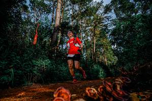 BIB: 
                            <button type="button" onclick="openModal(25882028)" class="btn btn-primary btn-sm float-right btn-popup" data-toggle="modal" data-target=".modal-high-quality">
                        <i class="fas fa-shopping-cart"></i> Add to Cart
                    </button>
                                            <button type="button" onclick="isThisMe(25882028, true)" class="btn btn-success btn-sm float-right btn-popup btn-isme hidden" data-toggle="tooltip" data-placement="bottom" title="นี่คือรูปของคุณใช่ไหม คลิกที่นี่เพื่อเอาเข้าอัลบั้ม">
                        <i class="fas fa-plus"></i> Add to album
                    </button>
                    <button type="button" onclick="isThisMe(25882028, false)" class="btn btn-warning btn-sm float-right btn-popup btn-isnotme hidden">
                        <i class="fas fa-ban"></i> Remove from album
                    </button>