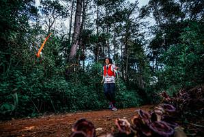 BIB: 
                            <button type="button" onclick="openModal(25879562)" class="btn btn-primary btn-sm float-right btn-popup" data-toggle="modal" data-target=".modal-high-quality">
                        <i class="fas fa-shopping-cart"></i> Add to Cart
                    </button>
                                            <button type="button" onclick="isThisMe(25879562, true)" class="btn btn-success btn-sm float-right btn-popup btn-isme hidden" data-toggle="tooltip" data-placement="bottom" title="นี่คือรูปของคุณใช่ไหม คลิกที่นี่เพื่อเอาเข้าอัลบั้ม">
                        <i class="fas fa-plus"></i> Add to album
                    </button>
                    <button type="button" onclick="isThisMe(25879562, false)" class="btn btn-warning btn-sm float-right btn-popup btn-isnotme hidden">
                        <i class="fas fa-ban"></i> Remove from album
                    </button>