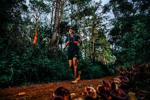 BIB: 
                            <button type="button" onclick="openModal(25881877)" class="btn btn-primary btn-sm float-right btn-popup" data-toggle="modal" data-target=".modal-high-quality">
                        <i class="fas fa-shopping-cart"></i> Add to Cart
                    </button>
                                            <button type="button" onclick="isThisMe(25881877, true)" class="btn btn-success btn-sm float-right btn-popup btn-isme hidden" data-toggle="tooltip" data-placement="bottom" title="นี่คือรูปของคุณใช่ไหม คลิกที่นี่เพื่อเอาเข้าอัลบั้ม">
                        <i class="fas fa-plus"></i> Add to album
                    </button>
                    <button type="button" onclick="isThisMe(25881877, false)" class="btn btn-warning btn-sm float-right btn-popup btn-isnotme hidden">
                        <i class="fas fa-ban"></i> Remove from album
                    </button>