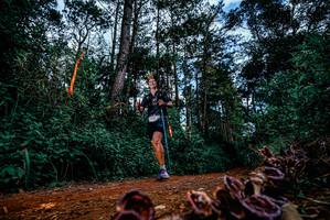 BIB: 
                            <button type="button" onclick="openModal(25880831)" class="btn btn-primary btn-sm float-right btn-popup" data-toggle="modal" data-target=".modal-high-quality">
                        <i class="fas fa-shopping-cart"></i> Add to Cart
                    </button>
                                            <button type="button" onclick="isThisMe(25880831, true)" class="btn btn-success btn-sm float-right btn-popup btn-isme hidden" data-toggle="tooltip" data-placement="bottom" title="นี่คือรูปของคุณใช่ไหม คลิกที่นี่เพื่อเอาเข้าอัลบั้ม">
                        <i class="fas fa-plus"></i> Add to album
                    </button>
                    <button type="button" onclick="isThisMe(25880831, false)" class="btn btn-warning btn-sm float-right btn-popup btn-isnotme hidden">
                        <i class="fas fa-ban"></i> Remove from album
                    </button>