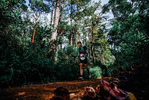 BIB: 
                            <button type="button" onclick="openModal(25880117)" class="btn btn-primary btn-sm float-right btn-popup" data-toggle="modal" data-target=".modal-high-quality">
                        <i class="fas fa-shopping-cart"></i> Add to Cart
                    </button>
                                            <button type="button" onclick="isThisMe(25880117, true)" class="btn btn-success btn-sm float-right btn-popup btn-isme hidden" data-toggle="tooltip" data-placement="bottom" title="นี่คือรูปของคุณใช่ไหม คลิกที่นี่เพื่อเอาเข้าอัลบั้ม">
                        <i class="fas fa-plus"></i> Add to album
                    </button>
                    <button type="button" onclick="isThisMe(25880117, false)" class="btn btn-warning btn-sm float-right btn-popup btn-isnotme hidden">
                        <i class="fas fa-ban"></i> Remove from album
                    </button>