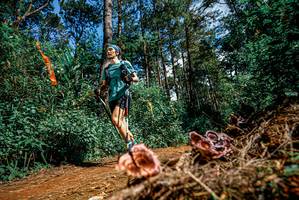 BIB: 
                            <button type="button" onclick="openModal(25878148)" class="btn btn-primary btn-sm float-right btn-popup" data-toggle="modal" data-target=".modal-high-quality">
                        <i class="fas fa-shopping-cart"></i> Add to Cart
                    </button>
                                            <button type="button" onclick="isThisMe(25878148, true)" class="btn btn-success btn-sm float-right btn-popup btn-isme hidden" data-toggle="tooltip" data-placement="bottom" title="นี่คือรูปของคุณใช่ไหม คลิกที่นี่เพื่อเอาเข้าอัลบั้ม">
                        <i class="fas fa-plus"></i> Add to album
                    </button>
                    <button type="button" onclick="isThisMe(25878148, false)" class="btn btn-warning btn-sm float-right btn-popup btn-isnotme hidden">
                        <i class="fas fa-ban"></i> Remove from album
                    </button>