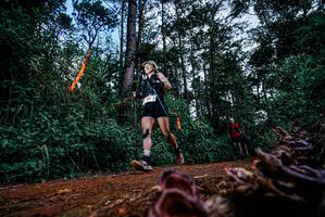 BIB: 
                            <button type="button" onclick="openModal(25878561)" class="btn btn-primary btn-sm float-right btn-popup" data-toggle="modal" data-target=".modal-high-quality">
                        <i class="fas fa-shopping-cart"></i> Add to Cart
                    </button>
                                            <button type="button" onclick="isThisMe(25878561, true)" class="btn btn-success btn-sm float-right btn-popup btn-isme hidden" data-toggle="tooltip" data-placement="bottom" title="นี่คือรูปของคุณใช่ไหม คลิกที่นี่เพื่อเอาเข้าอัลบั้ม">
                        <i class="fas fa-plus"></i> Add to album
                    </button>
                    <button type="button" onclick="isThisMe(25878561, false)" class="btn btn-warning btn-sm float-right btn-popup btn-isnotme hidden">
                        <i class="fas fa-ban"></i> Remove from album
                    </button>