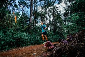 BIB: 
                            <button type="button" onclick="openModal(25878233)" class="btn btn-primary btn-sm float-right btn-popup" data-toggle="modal" data-target=".modal-high-quality">
                        <i class="fas fa-shopping-cart"></i> Add to Cart
                    </button>
                                            <button type="button" onclick="isThisMe(25878233, true)" class="btn btn-success btn-sm float-right btn-popup btn-isme hidden" data-toggle="tooltip" data-placement="bottom" title="นี่คือรูปของคุณใช่ไหม คลิกที่นี่เพื่อเอาเข้าอัลบั้ม">
                        <i class="fas fa-plus"></i> Add to album
                    </button>
                    <button type="button" onclick="isThisMe(25878233, false)" class="btn btn-warning btn-sm float-right btn-popup btn-isnotme hidden">
                        <i class="fas fa-ban"></i> Remove from album
                    </button>