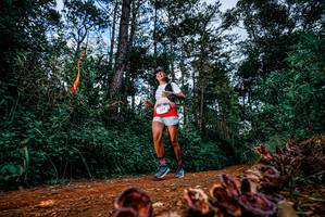 BIB: 
                            <button type="button" onclick="openModal(25881668)" class="btn btn-primary btn-sm float-right btn-popup" data-toggle="modal" data-target=".modal-high-quality">
                        <i class="fas fa-shopping-cart"></i> Add to Cart
                    </button>
                                            <button type="button" onclick="isThisMe(25881668, true)" class="btn btn-success btn-sm float-right btn-popup btn-isme hidden" data-toggle="tooltip" data-placement="bottom" title="นี่คือรูปของคุณใช่ไหม คลิกที่นี่เพื่อเอาเข้าอัลบั้ม">
                        <i class="fas fa-plus"></i> Add to album
                    </button>
                    <button type="button" onclick="isThisMe(25881668, false)" class="btn btn-warning btn-sm float-right btn-popup btn-isnotme hidden">
                        <i class="fas fa-ban"></i> Remove from album
                    </button>