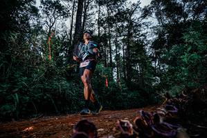 BIB: 
                            <button type="button" onclick="openModal(25882173)" class="btn btn-primary btn-sm float-right btn-popup" data-toggle="modal" data-target=".modal-high-quality">
                        <i class="fas fa-shopping-cart"></i> Add to Cart
                    </button>
                                            <button type="button" onclick="isThisMe(25882173, true)" class="btn btn-success btn-sm float-right btn-popup btn-isme hidden" data-toggle="tooltip" data-placement="bottom" title="นี่คือรูปของคุณใช่ไหม คลิกที่นี่เพื่อเอาเข้าอัลบั้ม">
                        <i class="fas fa-plus"></i> Add to album
                    </button>
                    <button type="button" onclick="isThisMe(25882173, false)" class="btn btn-warning btn-sm float-right btn-popup btn-isnotme hidden">
                        <i class="fas fa-ban"></i> Remove from album
                    </button>