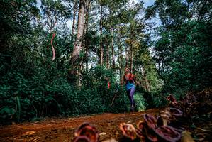 BIB: 
                            <button type="button" onclick="openModal(25880605)" class="btn btn-primary btn-sm float-right btn-popup" data-toggle="modal" data-target=".modal-high-quality">
                        <i class="fas fa-shopping-cart"></i> Add to Cart
                    </button>
                                            <button type="button" onclick="isThisMe(25880605, true)" class="btn btn-success btn-sm float-right btn-popup btn-isme hidden" data-toggle="tooltip" data-placement="bottom" title="นี่คือรูปของคุณใช่ไหม คลิกที่นี่เพื่อเอาเข้าอัลบั้ม">
                        <i class="fas fa-plus"></i> Add to album
                    </button>
                    <button type="button" onclick="isThisMe(25880605, false)" class="btn btn-warning btn-sm float-right btn-popup btn-isnotme hidden">
                        <i class="fas fa-ban"></i> Remove from album
                    </button>