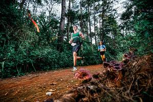 BIB: 
                            <button type="button" onclick="openModal(25877930)" class="btn btn-primary btn-sm float-right btn-popup" data-toggle="modal" data-target=".modal-high-quality">
                        <i class="fas fa-shopping-cart"></i> Add to Cart
                    </button>
                                            <button type="button" onclick="isThisMe(25877930, true)" class="btn btn-success btn-sm float-right btn-popup btn-isme hidden" data-toggle="tooltip" data-placement="bottom" title="นี่คือรูปของคุณใช่ไหม คลิกที่นี่เพื่อเอาเข้าอัลบั้ม">
                        <i class="fas fa-plus"></i> Add to album
                    </button>
                    <button type="button" onclick="isThisMe(25877930, false)" class="btn btn-warning btn-sm float-right btn-popup btn-isnotme hidden">
                        <i class="fas fa-ban"></i> Remove from album
                    </button>