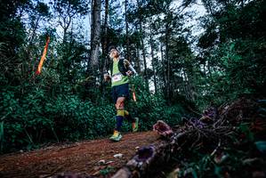 BIB: 
                            <button type="button" onclick="openModal(25878540)" class="btn btn-primary btn-sm float-right btn-popup" data-toggle="modal" data-target=".modal-high-quality">
                        <i class="fas fa-shopping-cart"></i> Add to Cart
                    </button>
                                            <button type="button" onclick="isThisMe(25878540, true)" class="btn btn-success btn-sm float-right btn-popup btn-isme hidden" data-toggle="tooltip" data-placement="bottom" title="นี่คือรูปของคุณใช่ไหม คลิกที่นี่เพื่อเอาเข้าอัลบั้ม">
                        <i class="fas fa-plus"></i> Add to album
                    </button>
                    <button type="button" onclick="isThisMe(25878540, false)" class="btn btn-warning btn-sm float-right btn-popup btn-isnotme hidden">
                        <i class="fas fa-ban"></i> Remove from album
                    </button>