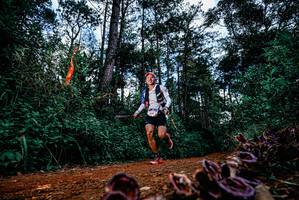 BIB: 
                            <button type="button" onclick="openModal(25879220)" class="btn btn-primary btn-sm float-right btn-popup" data-toggle="modal" data-target=".modal-high-quality">
                        <i class="fas fa-shopping-cart"></i> Add to Cart
                    </button>
                                            <button type="button" onclick="isThisMe(25879220, true)" class="btn btn-success btn-sm float-right btn-popup btn-isme hidden" data-toggle="tooltip" data-placement="bottom" title="นี่คือรูปของคุณใช่ไหม คลิกที่นี่เพื่อเอาเข้าอัลบั้ม">
                        <i class="fas fa-plus"></i> Add to album
                    </button>
                    <button type="button" onclick="isThisMe(25879220, false)" class="btn btn-warning btn-sm float-right btn-popup btn-isnotme hidden">
                        <i class="fas fa-ban"></i> Remove from album
                    </button>