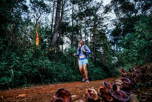 BIB: 
                            <button type="button" onclick="openModal(25880946)" class="btn btn-primary btn-sm float-right btn-popup" data-toggle="modal" data-target=".modal-high-quality">
                        <i class="fas fa-shopping-cart"></i> Add to Cart
                    </button>
                                            <button type="button" onclick="isThisMe(25880946, true)" class="btn btn-success btn-sm float-right btn-popup btn-isme hidden" data-toggle="tooltip" data-placement="bottom" title="นี่คือรูปของคุณใช่ไหม คลิกที่นี่เพื่อเอาเข้าอัลบั้ม">
                        <i class="fas fa-plus"></i> Add to album
                    </button>
                    <button type="button" onclick="isThisMe(25880946, false)" class="btn btn-warning btn-sm float-right btn-popup btn-isnotme hidden">
                        <i class="fas fa-ban"></i> Remove from album
                    </button>