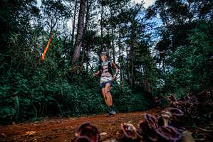 BIB: 
                            <button type="button" onclick="openModal(25880774)" class="btn btn-primary btn-sm float-right btn-popup" data-toggle="modal" data-target=".modal-high-quality">
                        <i class="fas fa-shopping-cart"></i> Add to Cart
                    </button>
                                            <button type="button" onclick="isThisMe(25880774, true)" class="btn btn-success btn-sm float-right btn-popup btn-isme hidden" data-toggle="tooltip" data-placement="bottom" title="นี่คือรูปของคุณใช่ไหม คลิกที่นี่เพื่อเอาเข้าอัลบั้ม">
                        <i class="fas fa-plus"></i> Add to album
                    </button>
                    <button type="button" onclick="isThisMe(25880774, false)" class="btn btn-warning btn-sm float-right btn-popup btn-isnotme hidden">
                        <i class="fas fa-ban"></i> Remove from album
                    </button>