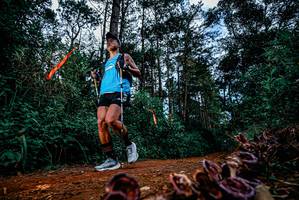 BIB: 
                            <button type="button" onclick="openModal(25880868)" class="btn btn-primary btn-sm float-right btn-popup" data-toggle="modal" data-target=".modal-high-quality">
                        <i class="fas fa-shopping-cart"></i> Add to Cart
                    </button>
                                            <button type="button" onclick="isThisMe(25880868, true)" class="btn btn-success btn-sm float-right btn-popup btn-isme hidden" data-toggle="tooltip" data-placement="bottom" title="นี่คือรูปของคุณใช่ไหม คลิกที่นี่เพื่อเอาเข้าอัลบั้ม">
                        <i class="fas fa-plus"></i> Add to album
                    </button>
                    <button type="button" onclick="isThisMe(25880868, false)" class="btn btn-warning btn-sm float-right btn-popup btn-isnotme hidden">
                        <i class="fas fa-ban"></i> Remove from album
                    </button>