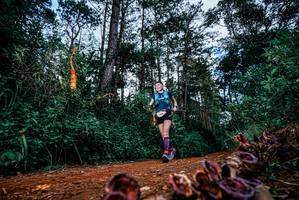 BIB: 
                            <button type="button" onclick="openModal(25880934)" class="btn btn-primary btn-sm float-right btn-popup" data-toggle="modal" data-target=".modal-high-quality">
                        <i class="fas fa-shopping-cart"></i> Add to Cart
                    </button>
                                            <button type="button" onclick="isThisMe(25880934, true)" class="btn btn-success btn-sm float-right btn-popup btn-isme hidden" data-toggle="tooltip" data-placement="bottom" title="นี่คือรูปของคุณใช่ไหม คลิกที่นี่เพื่อเอาเข้าอัลบั้ม">
                        <i class="fas fa-plus"></i> Add to album
                    </button>
                    <button type="button" onclick="isThisMe(25880934, false)" class="btn btn-warning btn-sm float-right btn-popup btn-isnotme hidden">
                        <i class="fas fa-ban"></i> Remove from album
                    </button>