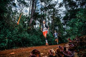 BIB: 
                            <button type="button" onclick="openModal(25881529)" class="btn btn-primary btn-sm float-right btn-popup" data-toggle="modal" data-target=".modal-high-quality">
                        <i class="fas fa-shopping-cart"></i> Add to Cart
                    </button>
                                            <button type="button" onclick="isThisMe(25881529, true)" class="btn btn-success btn-sm float-right btn-popup btn-isme hidden" data-toggle="tooltip" data-placement="bottom" title="นี่คือรูปของคุณใช่ไหม คลิกที่นี่เพื่อเอาเข้าอัลบั้ม">
                        <i class="fas fa-plus"></i> Add to album
                    </button>
                    <button type="button" onclick="isThisMe(25881529, false)" class="btn btn-warning btn-sm float-right btn-popup btn-isnotme hidden">
                        <i class="fas fa-ban"></i> Remove from album
                    </button>