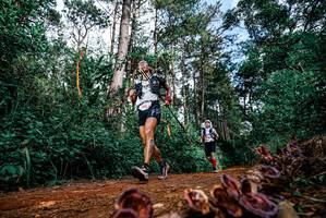 BIB: 
                            <button type="button" onclick="openModal(25880007)" class="btn btn-primary btn-sm float-right btn-popup" data-toggle="modal" data-target=".modal-high-quality">
                        <i class="fas fa-shopping-cart"></i> Add to Cart
                    </button>
                                            <button type="button" onclick="isThisMe(25880007, true)" class="btn btn-success btn-sm float-right btn-popup btn-isme hidden" data-toggle="tooltip" data-placement="bottom" title="นี่คือรูปของคุณใช่ไหม คลิกที่นี่เพื่อเอาเข้าอัลบั้ม">
                        <i class="fas fa-plus"></i> Add to album
                    </button>
                    <button type="button" onclick="isThisMe(25880007, false)" class="btn btn-warning btn-sm float-right btn-popup btn-isnotme hidden">
                        <i class="fas fa-ban"></i> Remove from album
                    </button>