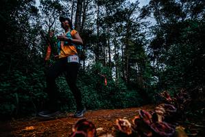 BIB: 
                            <button type="button" onclick="openModal(25881977)" class="btn btn-primary btn-sm float-right btn-popup" data-toggle="modal" data-target=".modal-high-quality">
                        <i class="fas fa-shopping-cart"></i> Add to Cart
                    </button>
                                            <button type="button" onclick="isThisMe(25881977, true)" class="btn btn-success btn-sm float-right btn-popup btn-isme hidden" data-toggle="tooltip" data-placement="bottom" title="นี่คือรูปของคุณใช่ไหม คลิกที่นี่เพื่อเอาเข้าอัลบั้ม">
                        <i class="fas fa-plus"></i> Add to album
                    </button>
                    <button type="button" onclick="isThisMe(25881977, false)" class="btn btn-warning btn-sm float-right btn-popup btn-isnotme hidden">
                        <i class="fas fa-ban"></i> Remove from album
                    </button>