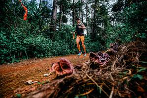 BIB: 
                            <button type="button" onclick="openModal(25878029)" class="btn btn-primary btn-sm float-right btn-popup" data-toggle="modal" data-target=".modal-high-quality">
                        <i class="fas fa-shopping-cart"></i> Add to Cart
                    </button>
                                            <button type="button" onclick="isThisMe(25878029, true)" class="btn btn-success btn-sm float-right btn-popup btn-isme hidden" data-toggle="tooltip" data-placement="bottom" title="นี่คือรูปของคุณใช่ไหม คลิกที่นี่เพื่อเอาเข้าอัลบั้ม">
                        <i class="fas fa-plus"></i> Add to album
                    </button>
                    <button type="button" onclick="isThisMe(25878029, false)" class="btn btn-warning btn-sm float-right btn-popup btn-isnotme hidden">
                        <i class="fas fa-ban"></i> Remove from album
                    </button>