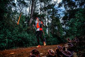 BIB: 
                            <button type="button" onclick="openModal(25880782)" class="btn btn-primary btn-sm float-right btn-popup" data-toggle="modal" data-target=".modal-high-quality">
                        <i class="fas fa-shopping-cart"></i> Add to Cart
                    </button>
                                            <button type="button" onclick="isThisMe(25880782, true)" class="btn btn-success btn-sm float-right btn-popup btn-isme hidden" data-toggle="tooltip" data-placement="bottom" title="นี่คือรูปของคุณใช่ไหม คลิกที่นี่เพื่อเอาเข้าอัลบั้ม">
                        <i class="fas fa-plus"></i> Add to album
                    </button>
                    <button type="button" onclick="isThisMe(25880782, false)" class="btn btn-warning btn-sm float-right btn-popup btn-isnotme hidden">
                        <i class="fas fa-ban"></i> Remove from album
                    </button>