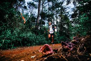 BIB: 
                            <button type="button" onclick="openModal(25877958)" class="btn btn-primary btn-sm float-right btn-popup" data-toggle="modal" data-target=".modal-high-quality">
                        <i class="fas fa-shopping-cart"></i> Add to Cart
                    </button>
                                            <button type="button" onclick="isThisMe(25877958, true)" class="btn btn-success btn-sm float-right btn-popup btn-isme hidden" data-toggle="tooltip" data-placement="bottom" title="นี่คือรูปของคุณใช่ไหม คลิกที่นี่เพื่อเอาเข้าอัลบั้ม">
                        <i class="fas fa-plus"></i> Add to album
                    </button>
                    <button type="button" onclick="isThisMe(25877958, false)" class="btn btn-warning btn-sm float-right btn-popup btn-isnotme hidden">
                        <i class="fas fa-ban"></i> Remove from album
                    </button>