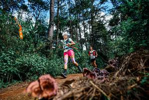 BIB: 
                            <button type="button" onclick="openModal(25878243)" class="btn btn-primary btn-sm float-right btn-popup" data-toggle="modal" data-target=".modal-high-quality">
                        <i class="fas fa-shopping-cart"></i> Add to Cart
                    </button>
                                            <button type="button" onclick="isThisMe(25878243, true)" class="btn btn-success btn-sm float-right btn-popup btn-isme hidden" data-toggle="tooltip" data-placement="bottom" title="นี่คือรูปของคุณใช่ไหม คลิกที่นี่เพื่อเอาเข้าอัลบั้ม">
                        <i class="fas fa-plus"></i> Add to album
                    </button>
                    <button type="button" onclick="isThisMe(25878243, false)" class="btn btn-warning btn-sm float-right btn-popup btn-isnotme hidden">
                        <i class="fas fa-ban"></i> Remove from album
                    </button>