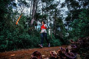 BIB: 
                            <button type="button" onclick="openModal(25879572)" class="btn btn-primary btn-sm float-right btn-popup" data-toggle="modal" data-target=".modal-high-quality">
                        <i class="fas fa-shopping-cart"></i> Add to Cart
                    </button>
                                            <button type="button" onclick="isThisMe(25879572, true)" class="btn btn-success btn-sm float-right btn-popup btn-isme hidden" data-toggle="tooltip" data-placement="bottom" title="นี่คือรูปของคุณใช่ไหม คลิกที่นี่เพื่อเอาเข้าอัลบั้ม">
                        <i class="fas fa-plus"></i> Add to album
                    </button>
                    <button type="button" onclick="isThisMe(25879572, false)" class="btn btn-warning btn-sm float-right btn-popup btn-isnotme hidden">
                        <i class="fas fa-ban"></i> Remove from album
                    </button>