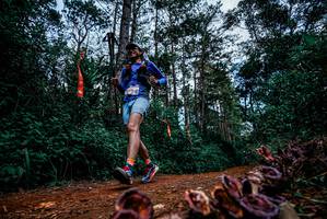 BIB: 
                            <button type="button" onclick="openModal(25880965)" class="btn btn-primary btn-sm float-right btn-popup" data-toggle="modal" data-target=".modal-high-quality">
                        <i class="fas fa-shopping-cart"></i> Add to Cart
                    </button>
                                            <button type="button" onclick="isThisMe(25880965, true)" class="btn btn-success btn-sm float-right btn-popup btn-isme hidden" data-toggle="tooltip" data-placement="bottom" title="นี่คือรูปของคุณใช่ไหม คลิกที่นี่เพื่อเอาเข้าอัลบั้ม">
                        <i class="fas fa-plus"></i> Add to album
                    </button>
                    <button type="button" onclick="isThisMe(25880965, false)" class="btn btn-warning btn-sm float-right btn-popup btn-isnotme hidden">
                        <i class="fas fa-ban"></i> Remove from album
                    </button>