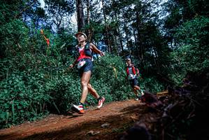 BIB: 
                            <button type="button" onclick="openModal(25878342)" class="btn btn-primary btn-sm float-right btn-popup" data-toggle="modal" data-target=".modal-high-quality">
                        <i class="fas fa-shopping-cart"></i> Add to Cart
                    </button>
                                            <button type="button" onclick="isThisMe(25878342, true)" class="btn btn-success btn-sm float-right btn-popup btn-isme hidden" data-toggle="tooltip" data-placement="bottom" title="นี่คือรูปของคุณใช่ไหม คลิกที่นี่เพื่อเอาเข้าอัลบั้ม">
                        <i class="fas fa-plus"></i> Add to album
                    </button>
                    <button type="button" onclick="isThisMe(25878342, false)" class="btn btn-warning btn-sm float-right btn-popup btn-isnotme hidden">
                        <i class="fas fa-ban"></i> Remove from album
                    </button>